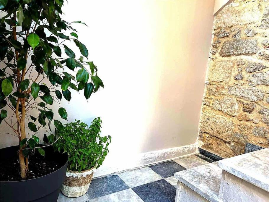 Ammoudara'S Apartments Rooftop Kalymnos Town Экстерьер фото